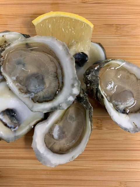 Gulf Oysters