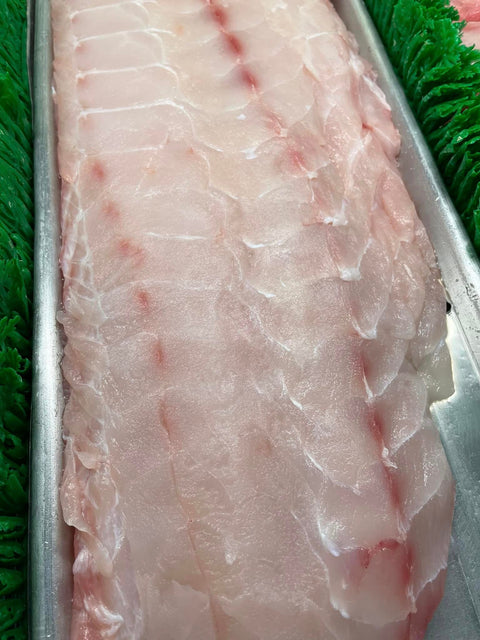 Golden Tilefish, 1lb.+