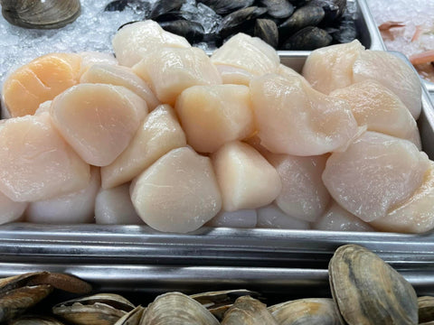 Sea Scallops, Dry U-10, 1lb.+