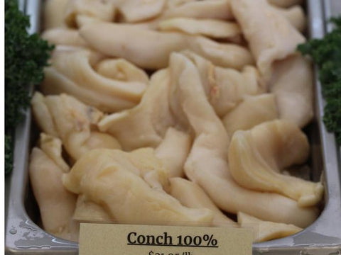 Conch Meat, 1lb.+