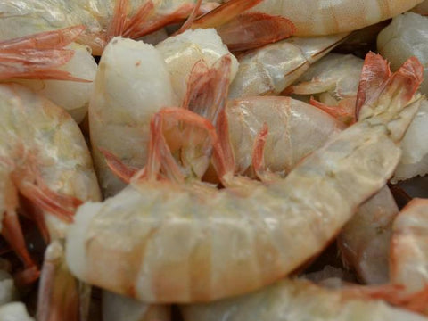 Extra Jumbo Shrimp, 1lb.+