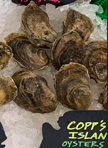 Copps Island Oysters, CT