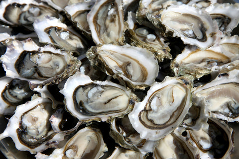 Malpaque Bay Oysters, P.E.I