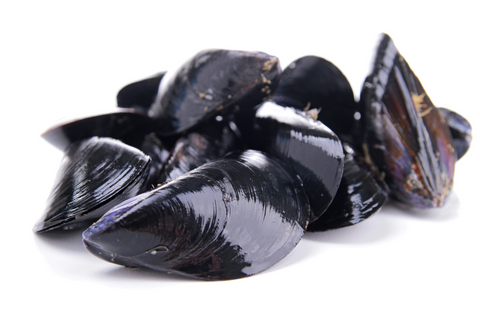 Live P.E.I. Mussels, 1lb.+