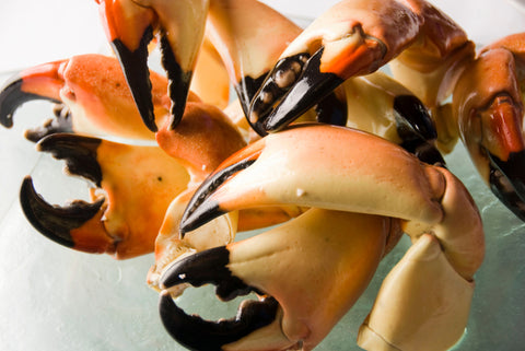 Stone Crab, 1lb.+