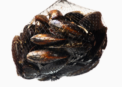 Live P.E.I. Mussels, 1lb.+