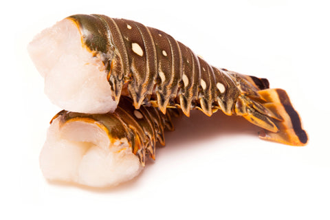 Fl Lobster Tails