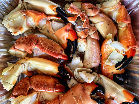 Stone Crab, 1lb.+