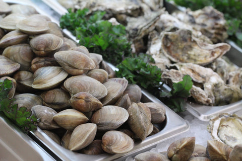 Clams
