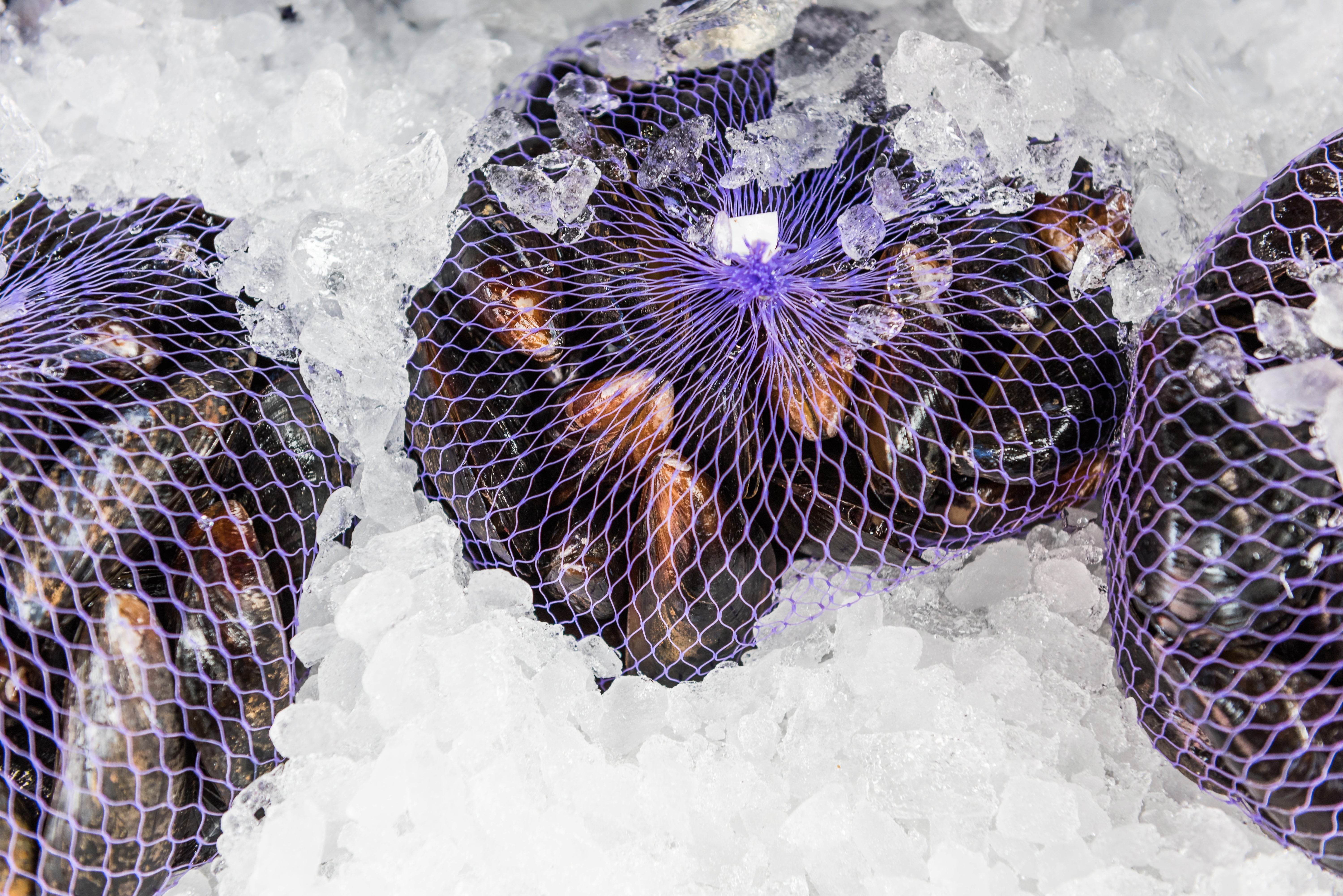 SHELLFISH – Pelican Seafood Company