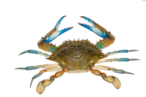 CRAB