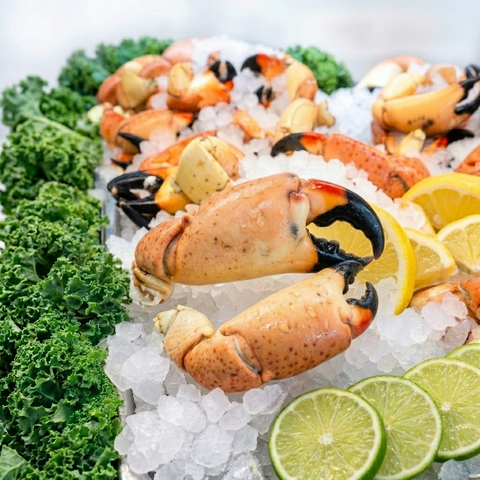 Stone Crab