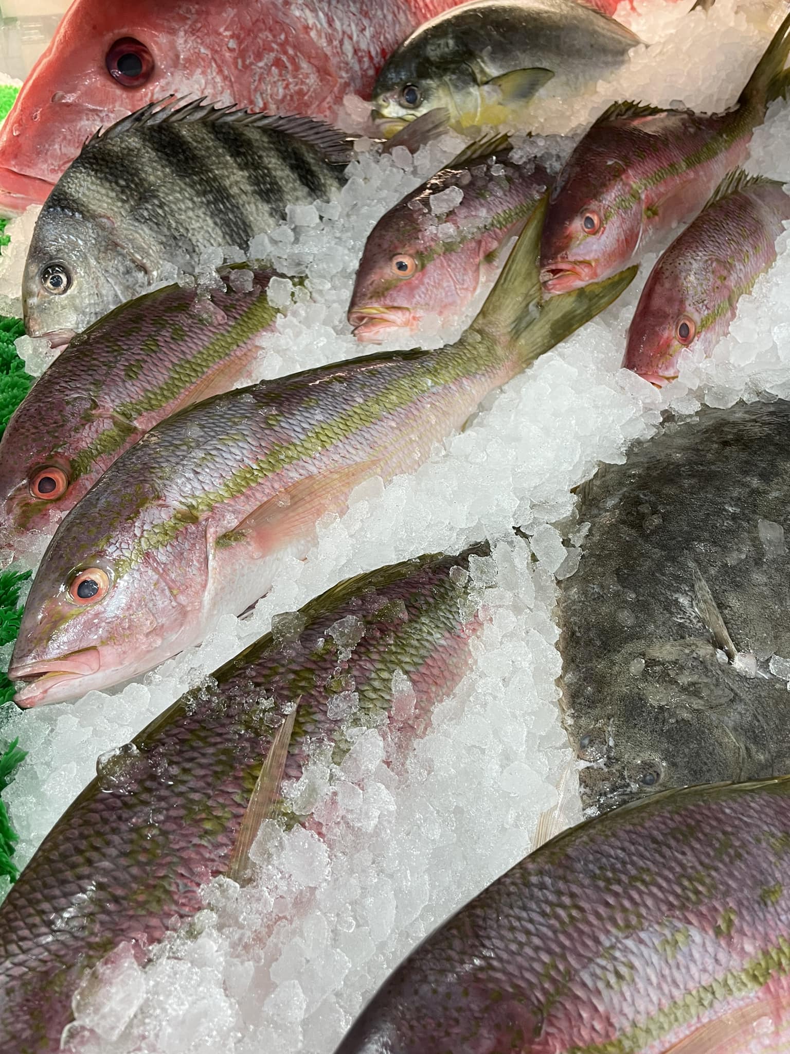 Whole Fish $9.99/lb. – Pelican Seafood Company