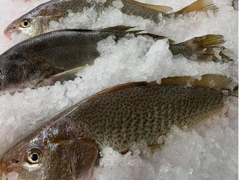 Whole Fish $9.99/lb.