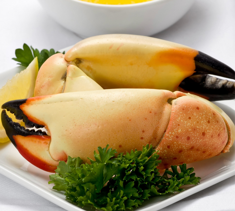 Jumbo Stone Crab