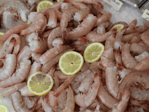 Jumbo Shrimp, 1lb.+