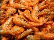 Peel and Eat Shrimp, 1lb.+