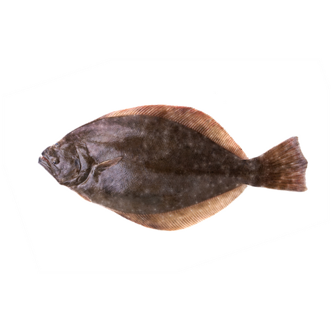 Flounder, 1lb.