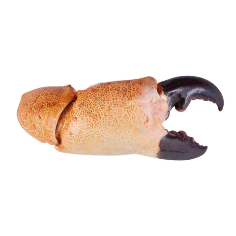 Colossal Stone Crab, 1 Lb.