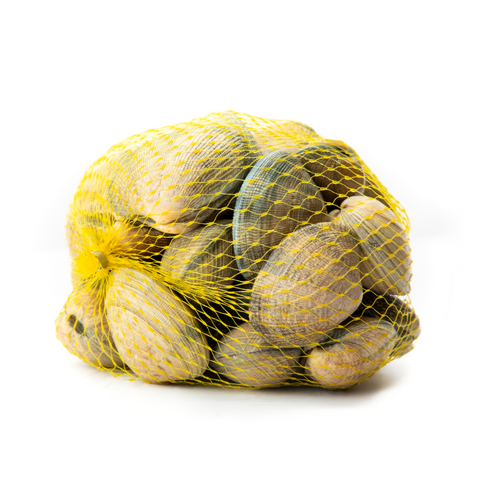 Hard Clams, Live