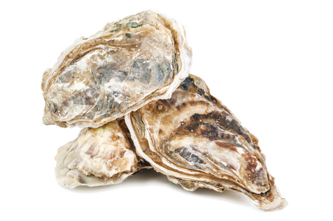 Virgina Oysters