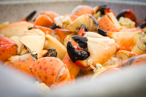 Stone Crab, 1lb.+