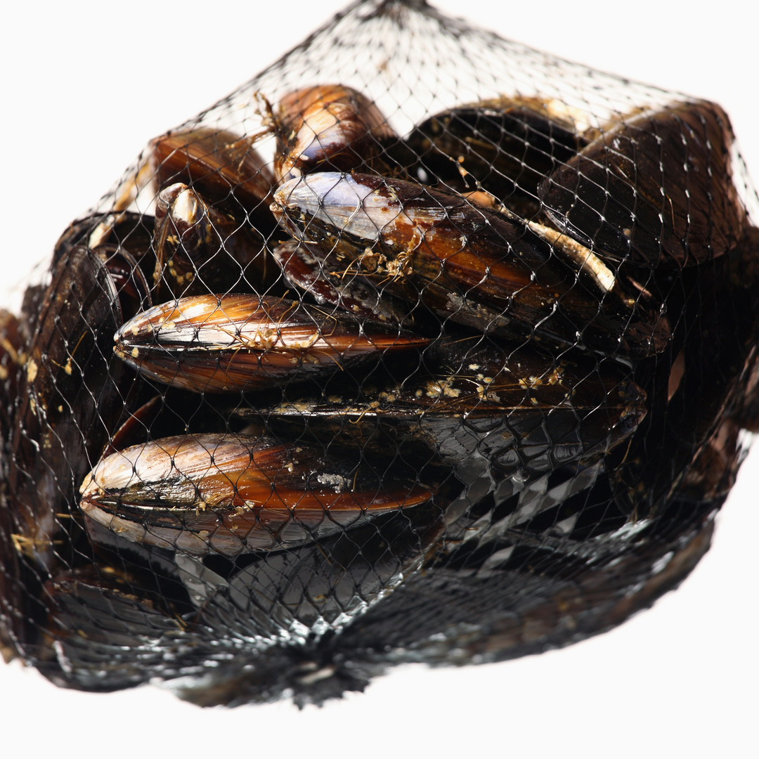 Live P.E.I. Mussels 1lb+ | Prince Edward Island Mussels | Pelican ...