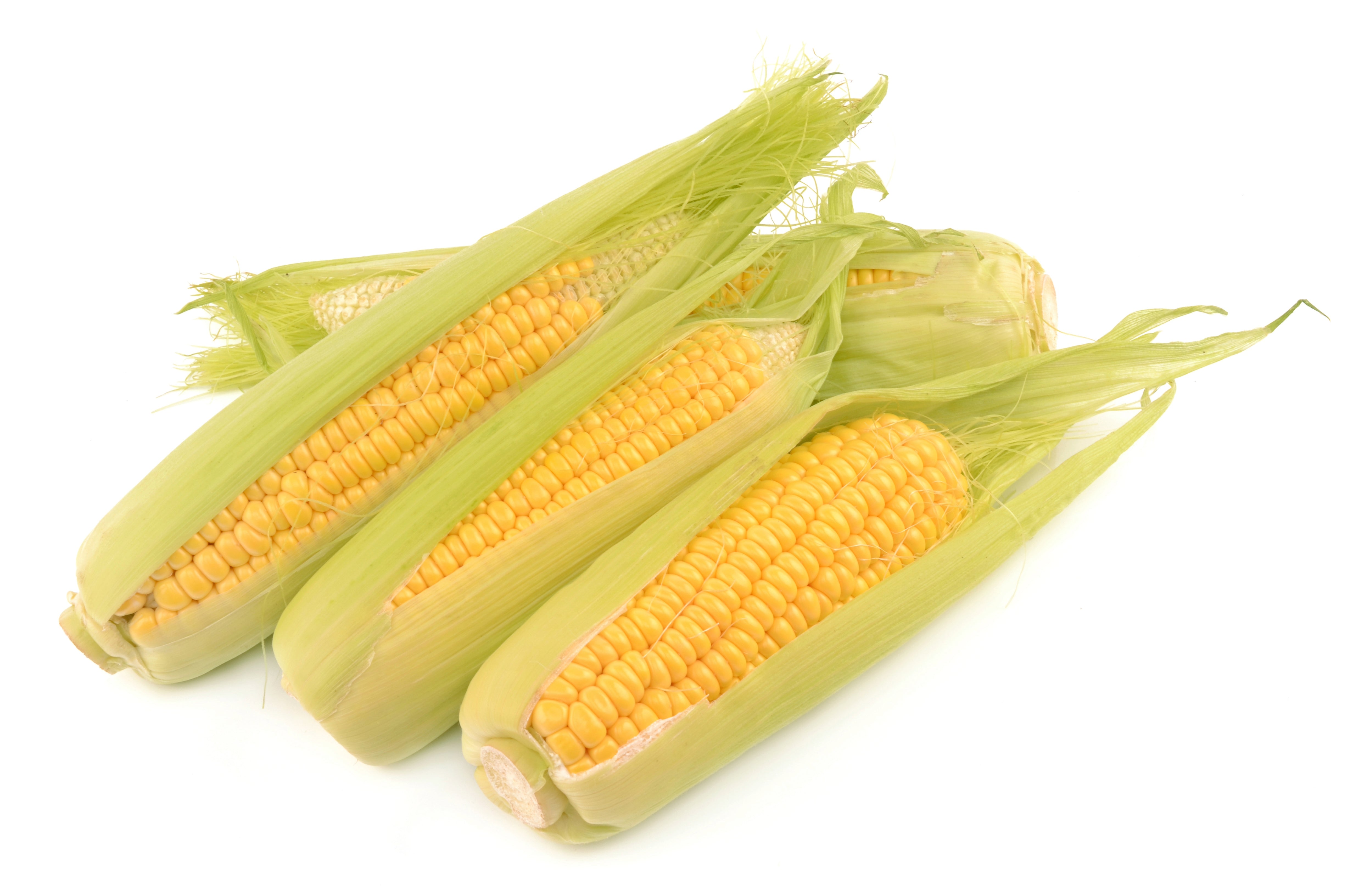 Yellow Corn, 4 pack – Pelican Seafood Company