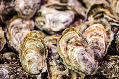 Copps Island Oysters