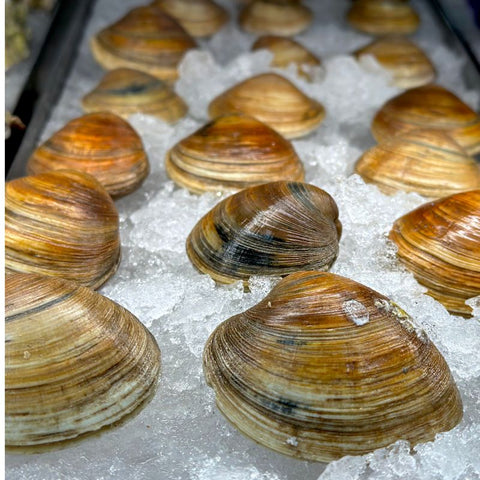 Hard Clams, Live card image