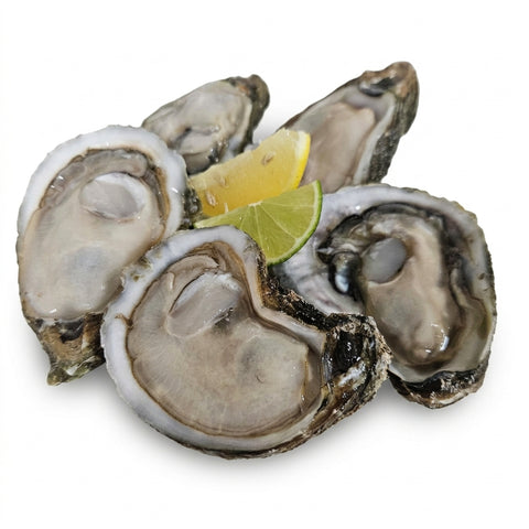 Gulf Oysters