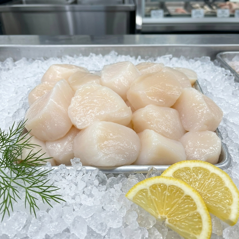 Dry-Pack Sea Scallops U-10, 1 lb+