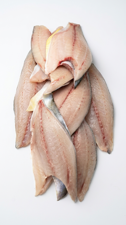 Pompano, 1lb.+