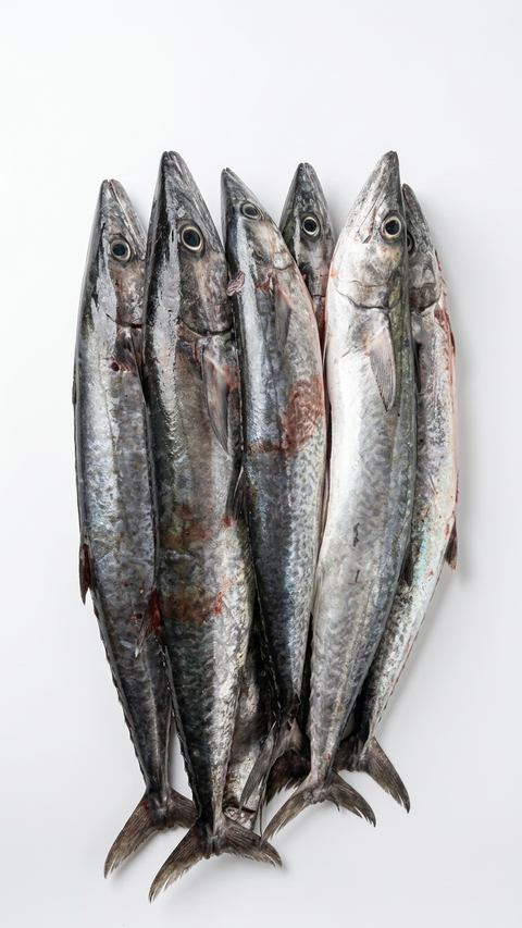 Kingfish