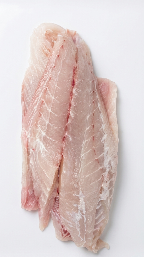 Grouper, 1lb.+