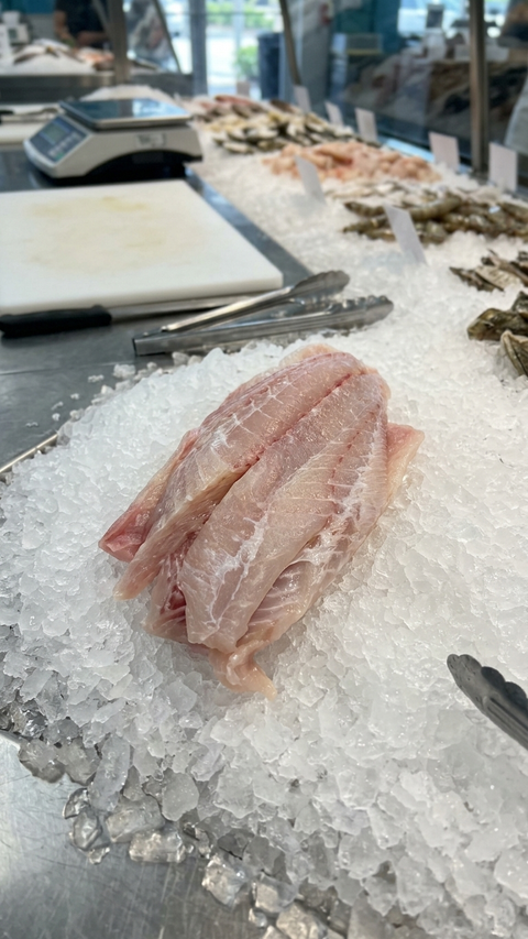 Grouper, 1lb.+